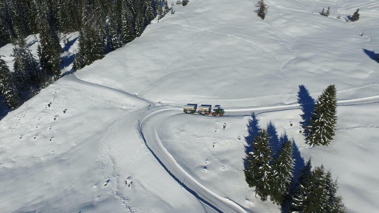 Ski In-Ski Out - Gaestehaeuser Saalbach-Hinterglemm - Wallegghof Christianhof Dış mekan fotoğraf